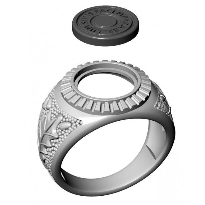 кольцо 700 790