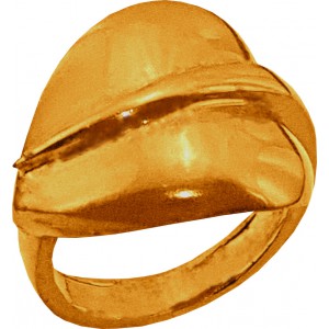кольцо 200-0-810